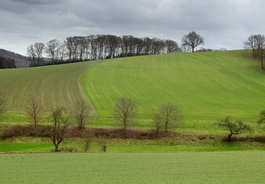 Grünes Bredenscheid