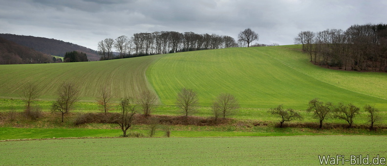 20180123 HAT Landschaft060a.jpg