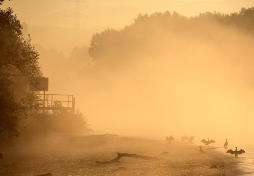 Ruhr/ Blankenstein - Morgenstimmung