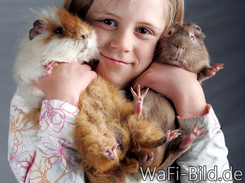 Kind mit Meerschweinchen