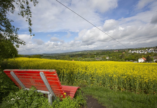 20210517Landschaft HERBEDE324