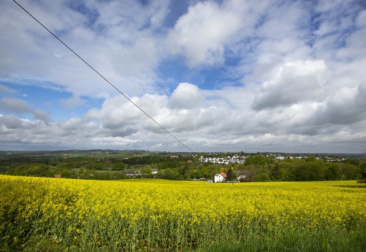 Landschaft